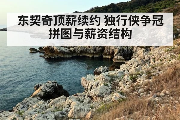 东契奇顶薪续约 独行侠争冠拼图与薪资结构